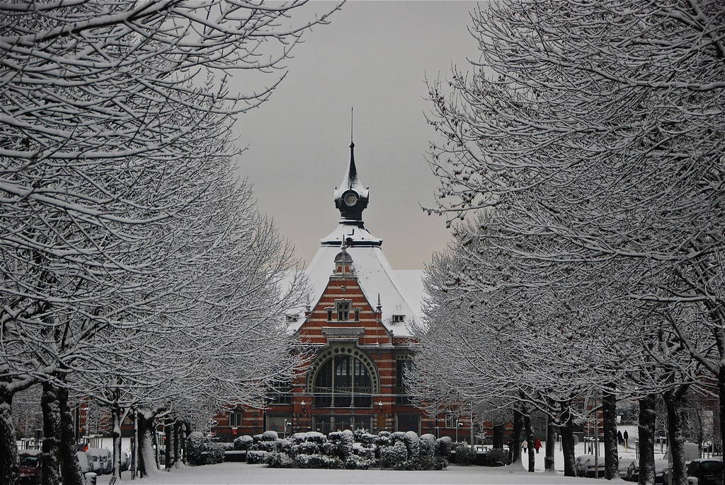 Brussels Snowy