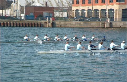 image of rowers in a boat because non-transport businesses also book ferries for their freight needs